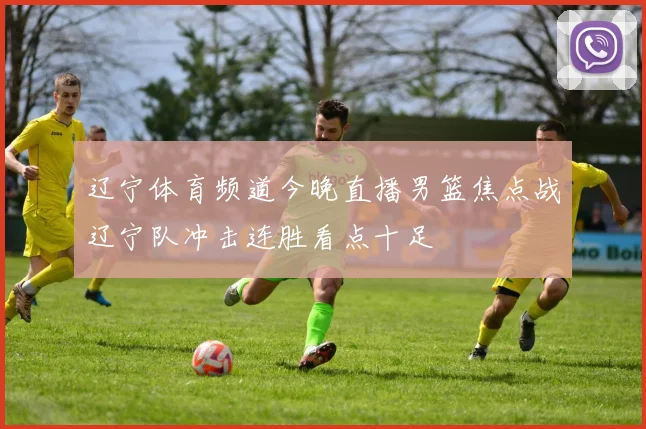 辽宁体育频道今晚直播男篮焦点战辽宁队冲击连胜看点十足
