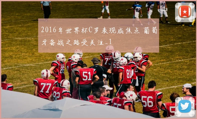 2016年世界杯C罗表现成焦点 葡萄牙备战之路受关注_1