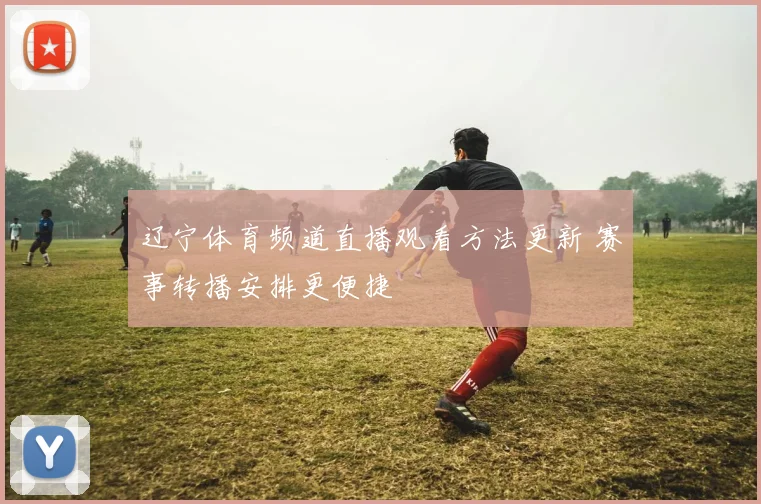 辽宁体育频道直播观看方法更新 赛事转播安排更便捷