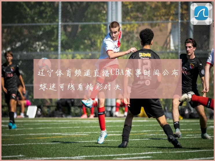 辽宁体育频道直播CBA赛事时间公布 球迷可线看精彩对决