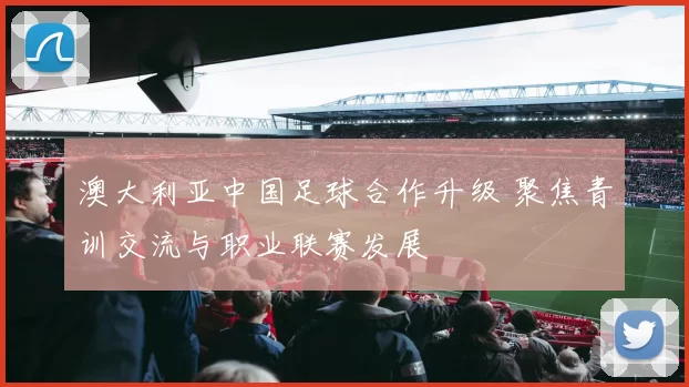 澳大利亚中国足球合作升级 聚焦青训交流与职业联赛发展
